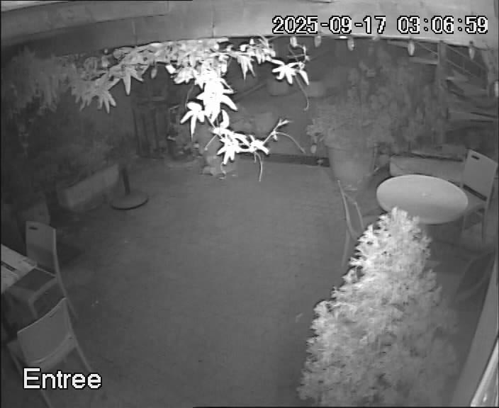 reactwebcam webcam live feed swimming pool piscine brit hotel fumel